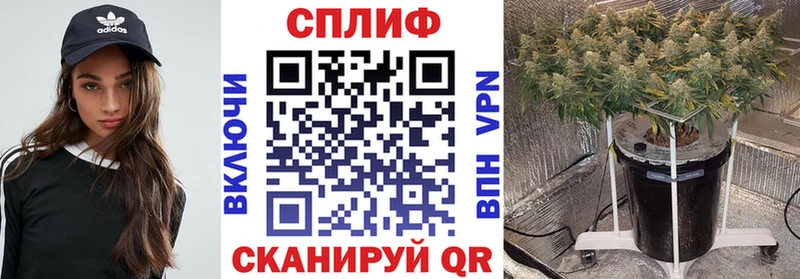 Каннабис планчик  цены наркотик  Пролетарск 